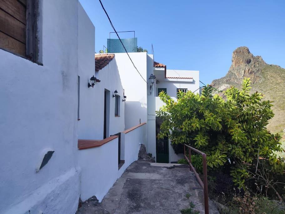 La Casa Vieja Vila Santa Cruz de Tenerife Exterior foto