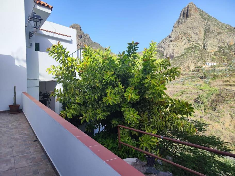 La Casa Vieja Vila Santa Cruz de Tenerife Exterior foto